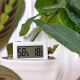 temperatura ideale in casa