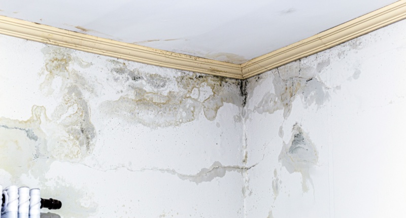 patologie edilizie patologie edilizie quali sono