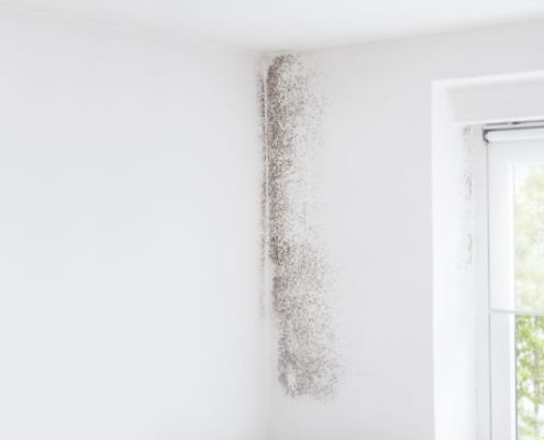 deumidificazione elettrofisica delle murature