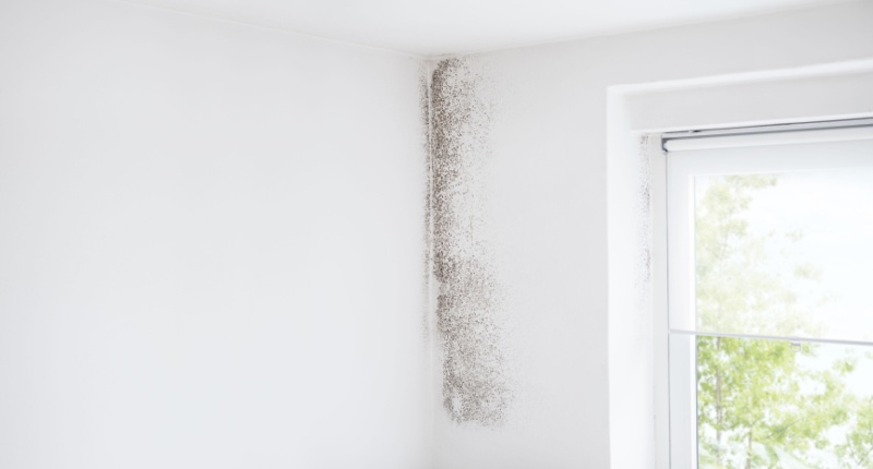 deumidificazione-elettrofisica deumidificazione elettrofisica delle murature