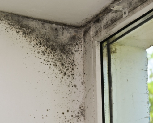 come eliminare la condensa sulle pareti interne senza interventi invasivi