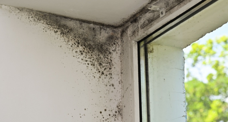 come eliminare la condensa sulle pareti interne senza interventi invasivi